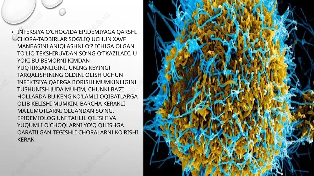 i ham o'z ichiga oladi. bir qator ma'muriy choralar ham epidemiyaga qarshi chora-tadbirlarning muvaffaqiyatiga bevosita ta'sir qiladi. bu shuni anglatadiki, hokimiyat har qanday qarorlar qabul qilish orqali epidemiologik vaziyatni normallashtirishga bevosita yordam beradi. ushbu chora-tadbirlar kompleksida viloyat va shahar hokimliklari, taʼlim va sogʻliqni saqlash vazirliklari, turli tashkilot va muassasalar rahbarlari ishtirok etishlari mumkin. barcha ma'muriy choralar o'z vaqtida amalga oshirilishi kerak, chunki vaziyatni shifokorlar nazoratidan chiqarib bo'lmaydi, chunki yuqumli patologiyalar butun jamiyatga tahdid soladi. faoliyat tez va o'ylangan holda amalga oshirilishi kerak. yuqumli o'choqni yo'q qilish faqat muayyan vaziyatga epidemiologik tashxis qo'yilgandan keyin amalga oshirilishi mumkin. epidemiologlar maxsus tekshiruvlar o'tkazadilar, jumladan: bemorlar va ular bilan aloqada bo'lgan odamlarning so'rovi; infektsiya o'choqlarini tekshirish; hujjatlarni oʻrganish (uy-joy, tibbiy va h.k.); sanitariyani o'rganish; infektsiyalangan odamning laboratoriya tekshiruvlari; inkubatsiya davridagi kuzatish. tadbirning asosiy vazifalari va maqsadlari asosiy vazifa epidemiyaga qarshi chora-tadbirlar - epidemik jarayonning omillariga (bo'g'inlari, elementlari) o'choqda yuqumli vositaning aylanishini to'xtatish uchun samarali …