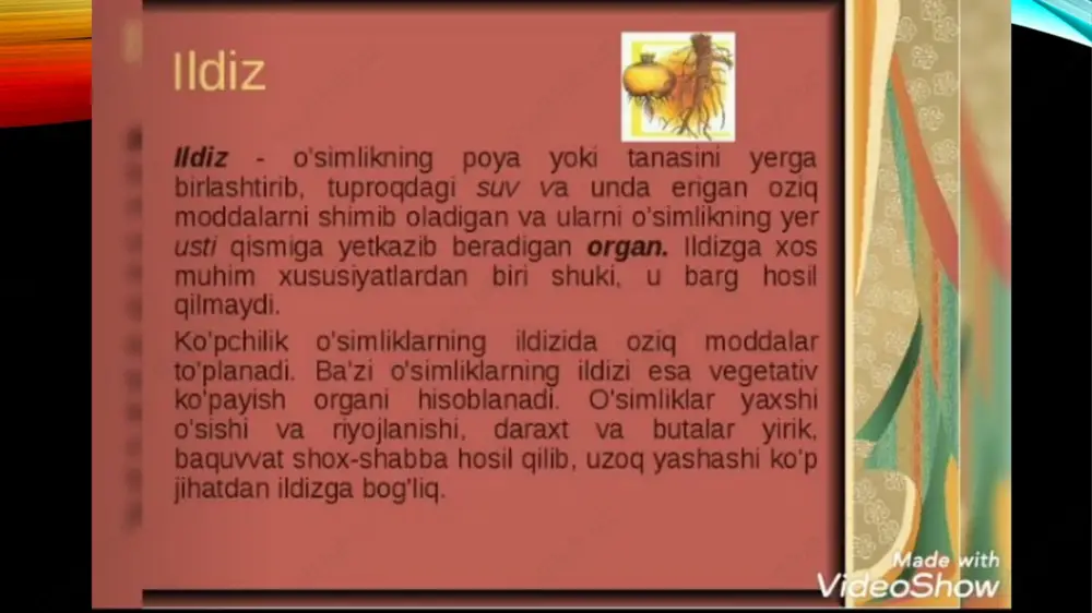 ildiz (diz) - Page 3