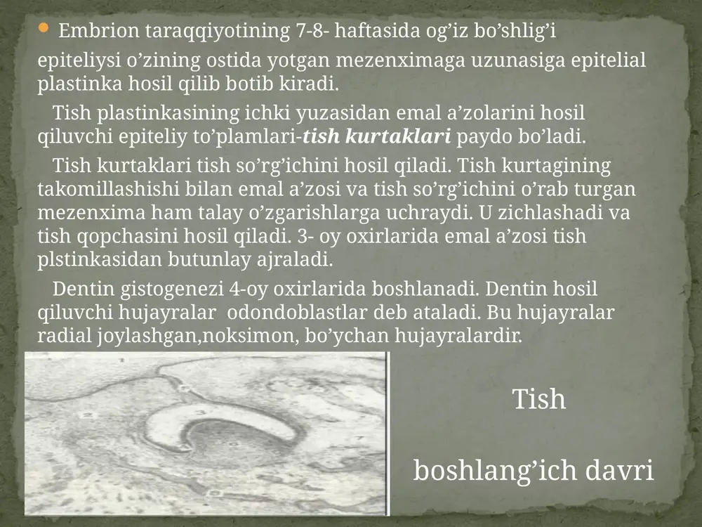 bog’langan bo’ladi. odonblastlar uch boshli nervning nozik oxilari bilan zich o’ralgan. qon bilan ta’minlanishi va innervatysiyasi 1.tishning yumshoq qismiga nimalar kiradi? a) emal,pulpa b)pulpa, periodont c)dentin, periodont d)sement, emal 2.tishning qattiq qismiga nimalar kiradi? a) emal,pulpa b) sement, emal c)dentin, periodont d) pulpa, periodont 3.sut tishlari soni? a)28 b)20 c)24 d)26 4.doimiy tishlari soni? 5.tish taraqqiyoti qachondan boshlanadi? a)20 a)5-6- hafta b)32 b)7-8- hafta c)24 c)6-7- hafta d)26 d)4-5- hafta test. 1. bemor tish og’rig’i tufayli shifokorga murojat qildi. shifokor bemorni yaxshilab ko’rikdan o’tkazib bemorning tishlari yemirilib boshlaganligini aniqladi. ushbu bemorda tishning qaysi qavatlari yemirila boshlagan? 2. 100 yoshdan o’tgan otaxonlardan birining og’iz bo’shlig’ida tishga o’xshash o’simta shakllana boshladi. bu holat qanday ro’y berganligini izohlang. 3. 1 yoshli bolaning sut tishlari soni normada 8 ta bo’lishi kerak, lekin ahmadning tishlari soni 1 yoshida 4 ta. ahmadning sut tishlari chiqishining kechikishiga sabab nimada? vaziyatli masalalar zufarov k.a . “ gistologiya” toshkent …