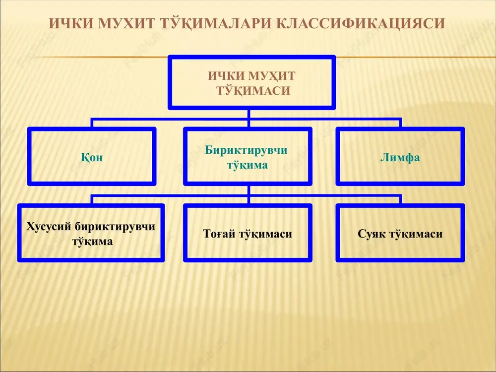oy uroven tretiy uroven chetvertiy uroven pyatiy uroven retikulyar to'qima 30 image1.jpeg image3.png image5.png image6.jpeg image7.png image2.png image8.png image9.png image10.jpeg image11.png image12.jpeg image13.png image14.jpeg image15.png image16.jpeg image17.jpeg image18.png image19.png image20.png image21.png image22.png image23.jpeg image24.png image25.jpeg image26.png image27.png image28.png image29.png image30.png image31.png image32.png image33.png image34.png image35.png image36.wmf image37.png image38.jpeg image39.png image40.png image41.png image42.png image43.png image44.jpeg image45.jpeg image46.png image47.jpeg image48.png image49.png image50.png image51.png image52.jpeg image53.jpeg image54.jpeg image55.jpeg image56.jpeg image57.jpeg image58.jpeg image59.png image60.png original transmission electron microscopic section