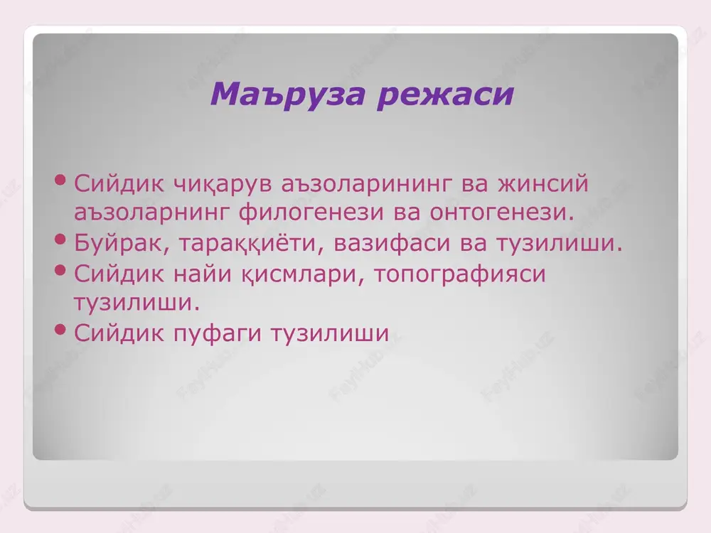 "siydik chiqaruv a'zolarining funktsional anatomiyasi" - Page 3