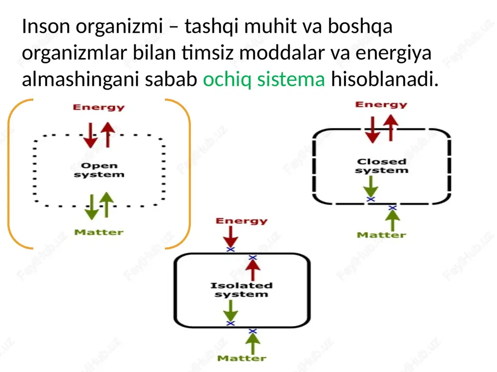 n siz n saqlovchi oqsil bo`lmagan oqsil kation anion -albumin -globulin -fibrinogen -mochevina -kreatin -kreatinin -siydik kislota -hco3- -cl- -hpo4- k na ca -glukoza -neytral yog` plazma oqsillari plazma oqsillari globulin oqsil turlari va vazifalari alfa 1 - globulin alfa 1 - antitripsin tripsin va boshqa proteolitik fermentlarni faolsizlantiradi, yallig'lanishda zararni kamaytiradi orosomukoid (alfa-1-kislotali glikoprotein) immunitetga javob modifikatori lidokain kabi kislotali dorilarni bog'laydi yuqori zichlikdagi lipoproteinlar (yzlp) xolesterolni teskari tashish ("yaxshi xolesterin") alfa 2 - globulin alfa 2 - makroglobulin fermentlarni bog'laydi va faolsizlantiradi to'qimalarning shikastlanishini oldini oladi gaptoglobin gemoglobinni bog'laydigan protein seruloplazmin oddiy temir almashinuvida ishtirok etadigan misni o'z ichiga olgan ferment beta-globulin transferrin temirni hujayralarga tashish va etkazib berish past zichlikdagi lipoproteinlar (ldl) xolesterolni to'qimalarga etkazib berish komplement 3 (c3) yod moddalarga qarshi yallig'lanish reaktsiyasini tartibga solishga yordam beradi gamma-globulin (immun globulin) iga sekretsiyalarda ishtirok etadigan immunoglobulin igg asosiy immunoglobulin; uzoq muddatli immunitet igm dastlabki javob immunoglobulin c-reaktiv …