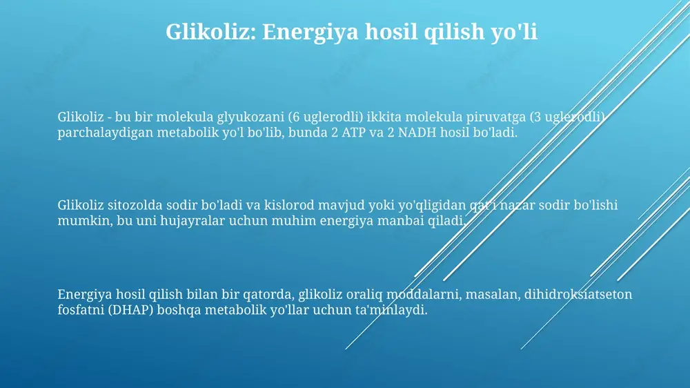 glikoliz va glyukoneogenez - Page 3