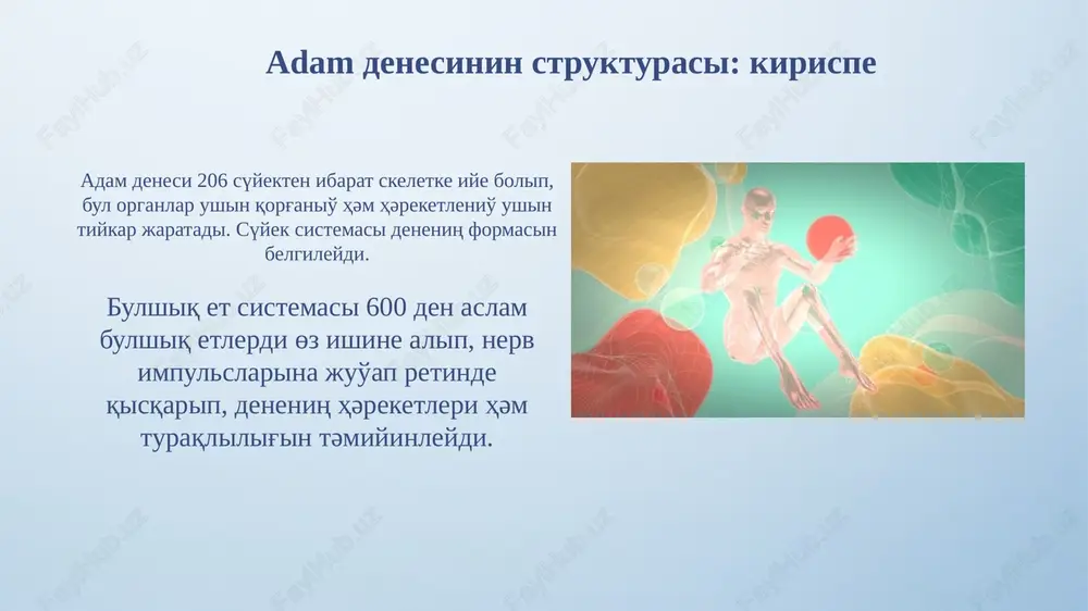 , mayip adamlardiң motorikasin jaqsilao' ushin, biomexanikaliq analizler arqali qollaniladi. hәrekettiң biomexanikaliq modellerin dүzio' hәrekettiң biomexanikaliq modelin dүzio', bәrqulla әmel etio'shi kүshlerdiң 3d analizin өz ishine alip, norma hәm patologiya jag'dayindag'i kinematikani aniqlaydi. modelleo' stadiyasi, nyutonniң 2-zaңina tiykarlanip, segment massasi hәm inertsiya momentlerin esaplao' arqali bәrqulla dinamikaliq teңlemeni sheshio'di talap etedi. motor kөnlikpelerdi jetilistirio'de biomexanikaniң roli biomexanika optimal traektoriya hәm kүshlerdi aniqlao' arqali sportshilardiң texnikasin jaqsilao'da әhmiyetli rol oynaydi, nәtiyjeni 15-20% ke arttiradi. biomexanikaliq analizler jүklemeniң tәsirin bahalao'g'a, jarakatlardiң aldin alio'g'a (30- 40% ke kemitio'), hәm reabilitatsiya protsesslerin tezlestirio'ge jәrdem beredi. juo'maq hәm perspektivalar juo'maq, keleshekte adam denesi strukturasin 3d modelleo' arqali motorikani aniq bahalao'g'a mүmkinshilik beredi, bul meditsinada 50% tez diagnoz qoyio'g'a jәrdem beredi. perspektiva, 2030 jilg'a shekem robot texnologiyasi menen birlestirilgen biomexanikaliq analizler, sportshilardiң jaraqat alio' xao'ipin 25% ke azaytip, nәtiyjeliligin arttiradi. nazariңiz үshіn raxmet slide 1 slide 2 slide 3 slide 4 slide 5 slide 6 slide …