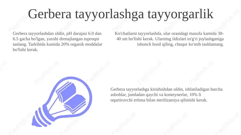 gerbera tayyorlash - Page 3