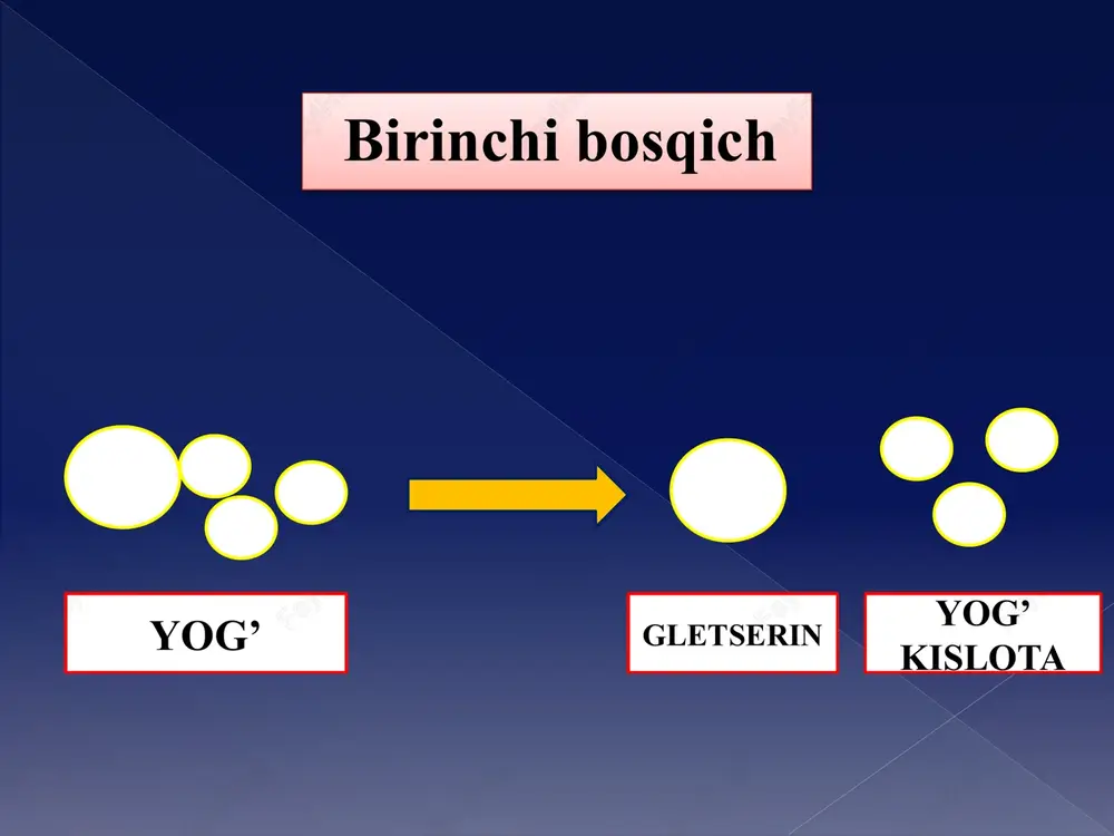 -masala dnkda timindan 850 taga sitozindan 900 taga ko‘p vodorod bog‘ bor bo‘lsa dnkni uzunligini aniqlang (nukleotidlar orasidagi masofa 0,34nm). etiboringiz uchun raxmat image2.png image3.png image4.png image5.png image6.png image7.png image8.png image9.jpeg image10.png image11.png image12.png image13.png image14.png image15.png image16.png /docprops/thumbnail.jpeg