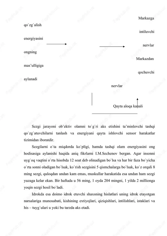 tashkil topadi. sezgilar yaxlit tarzda idrok jarayonini ta’minlaydi. idrok ongli, maqsadga qaratilgan murakkab jarayon bo`lib, unda shaxsning u yoki bu ob’ektga shaxsiy munosabati va idrokdagi faolligi aks ettiriladi. 2. sezgilar uchun quyidagi xususiyatlar xos – adaptatsiya, sensibilizatsiya, senesteziya. adaptatsiya - sezgi organlarini ularga ta’sir etuvchi stimullarga moslashishi, bunda ularning aks etilishini yaxshilashni yoki ortiqcha og`irlikdan xolos etilishi nazarda tutiladi (qorang`ulik, yorug`likka moslashish). sensibilizatsiya - analizatorlar o`zaro munosabati va mashq qilish natijasida sezgi organlarining sezuvchanligini ortishidir (masalan: ovoz ta’sirida ko`rishni o`tkirlashishi). analizatorlarning markaziy bulmalari joylashgan bosh miya kobigida kuzgalishning tarkalishi va tuplashishi jaraenlari sezgilari uzaro munosabatning fiziologik mexanizmi bulib xisoblanadi. sinesteziya - bir analizatorning kuzgalish ta’siri ostida boshka analizatorga xos sezgining xosil bulishidir. ushbu xolat sezgilarning xar-xil turlarida kuzatiladi. tovush kuzgatuvchilari ta’sir kilganda sub’ektda kurish obrozlari paydo bulganda kupincha kurish, eshitish sinesteziyasi uchraydi. sezgi a’zolari sezuvchanligining oshishiga olib boradi va ikki sohani ajratib ko`rsatish mumkin. 1. sensor nuksonlar ko`rlik va karlikning …