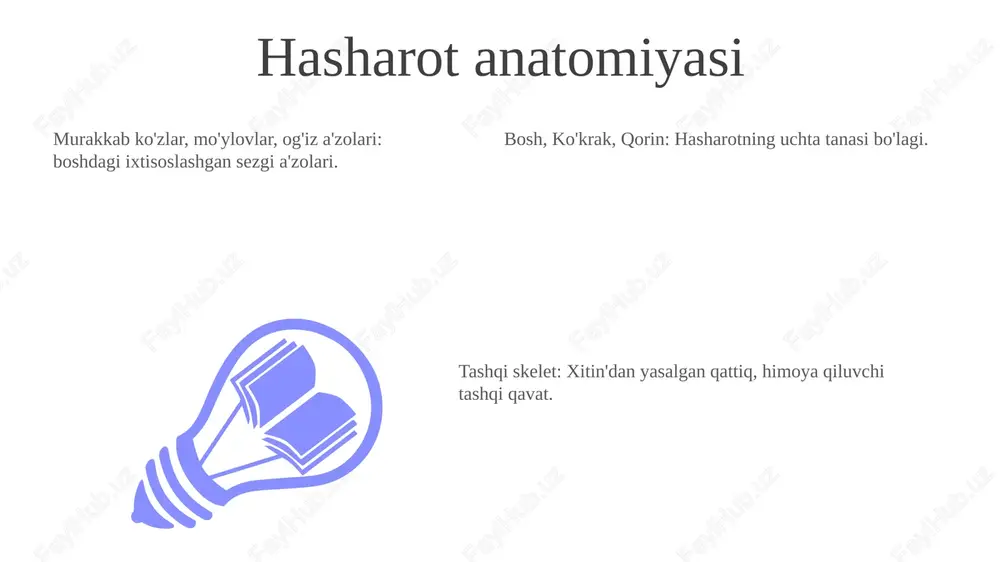 es 1st qtr 2nd qtr 100 0 sales 1st qtr 2nd qtr 100 0 sales 1st qtr 2nd qtr 100 0 hasharot tahdidlari arilar va chumolilar kabi sanchuvchi hasharotlar odamlar uchun xavf tug'diradi. chigirtka va bitlar kabi zararkunandalar tomonidan qishloq xo'jaligiga yetkazilgan zarar. hasharotlar orqali tarqaladigan kasalliklar, masalan, bezgak va deng qiziloti. hasharotlar ekosistemalardagi rol hasha­rotlar ko'p hay­von­lar­ga oziq­-ovqat man­bai bo'lib, oziq­-ovqat zan­jir­i­ni qo'l­lab-quv­vat­lay­di. chang'latuvchilar: hasharotlar gulchangni o'tkazadi, bu esa o'simliklarni ko'payishini ta'minlaydi. chang'latuvchilar: hasharotlar gulchangni o'tkazadi, bu esa o'simliklarni ko'payishini ta'minlaydi. chizish asoslari hasharot anatomiyasini kuzatish va soddalashtirish: tana qismlari uchun doira, oval va chiziqlar kabi asosiy shakllarga e'tibor bering. chizma detallarini mashq qiling: antennalar, oyoqlar, qanotlar va ko'zlar kabi xususiyatlarni ta'kidlang. chiroyli hasharotlarga chuqurlik va o'lchov berish uchun yorug'lik va soyadan foydalaning: ularning tashqi qobiqlariga yorug'lik qanday tushishini kuzating. hasharot xilma-xilligi hasharotlar xilma-xilligi kichik chumolilardan tortib ulkan qurtlarga qadar turli xil turlarni o'z ichiga oladi. rasm shuningdek, kapalak …