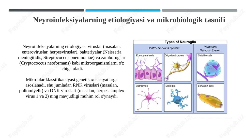 neyroinfeksiyalarning etiologiyasi va mikrobiologik tasnifi - Page 3