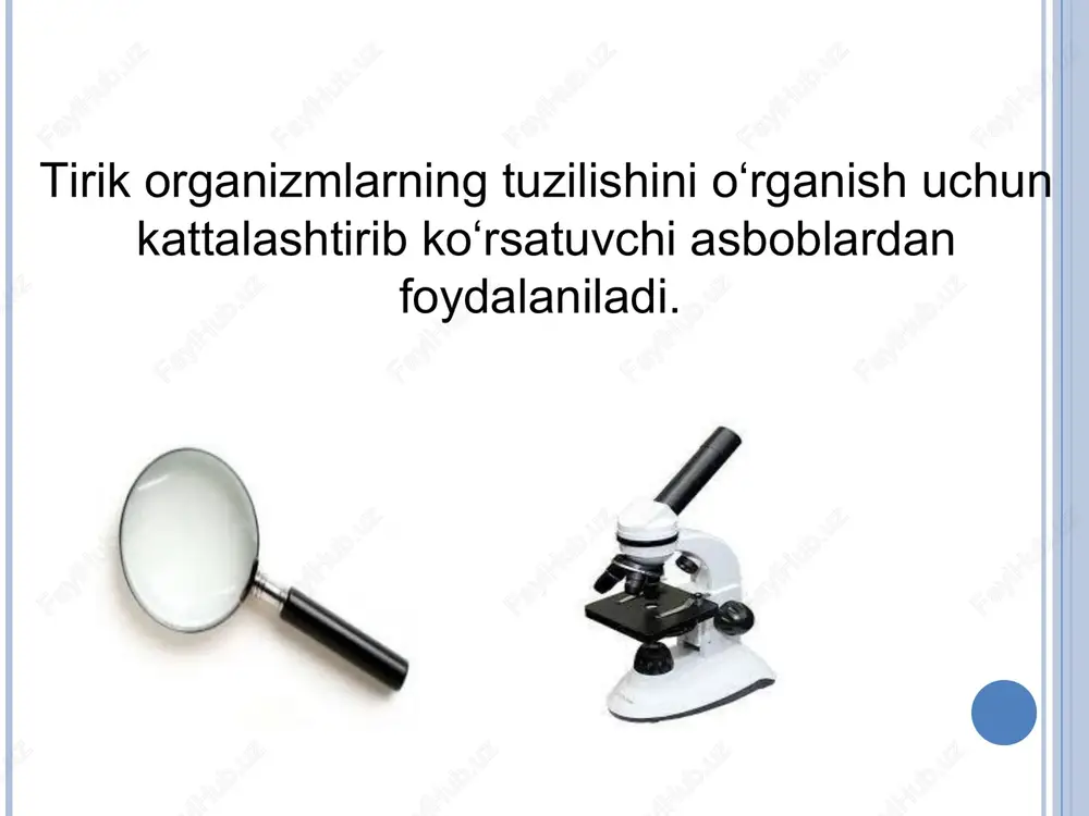 olchasi tagiga joylashgan. kondensorni yuqoriga va pastga siljituvchi maxsus vint mavjud. kondensor ko‘tarilganda yorug‘lik ko'payadi, tushirilganda kamayadi.iris diafragma kondensorga burab o‘rnatilgan, u mayda plastinkalardan iborat, yonidagi maxsus klemma yordamida diafragma teshigini kengaytirish, toraytirish va yorug‘lik miqdorini o'zgartirish mumkin. mikroskopning optik qismiga okular va obyektivlar kiradi. okularlar ko‘rilayotgan obyektni 7x, lox, 15x, 20x marta katta qilib ko‘ rsatadi (kattalashtirish darajasi okularlarda ko'rsatilgan bo‘ladi). okular naysimon shaklda bo‘ lib, uning ikki tomonida linzalar joylashgan. obyektivlar revolver sistemasidagi maxsus o'rindiqlarga joylashgan. obyektivlar buyumni 8 x, 40x, 60x, 90x marta katta qilib ko‘rsatadi.mikroskopning kattalashtirish qobiliyati uning ,,kuchi“ deyiladi. 0‘rganilayotgan buyum qancha kattalashtirilganligini bilish uchun obyektiv ko'rsatkichini okular ko'rsatkichiga ko‘paytirish zarur (masalan 1 0 x 8 = 80, 10 x 40 = 400, 10 x 90 = 900 va hokazo).yorug'lik mikroskopi bir-biridan 0,2 mkm yaqinlikdagi ikki buyumni ajrata oladi, odam ko‘zining ajrata olish qobiliyati 0 ,1 mm, elektron mikroskopniki esa (1 angstrem = l0-7mm). mexanik …