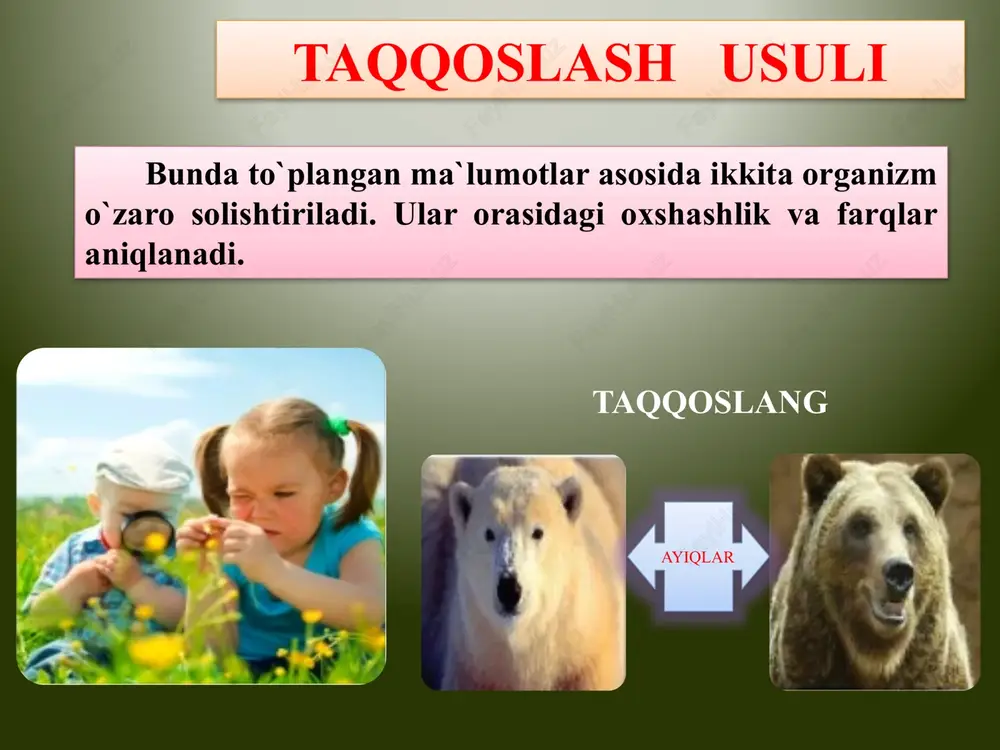 biologiyani o`rganish usullari - Page 3