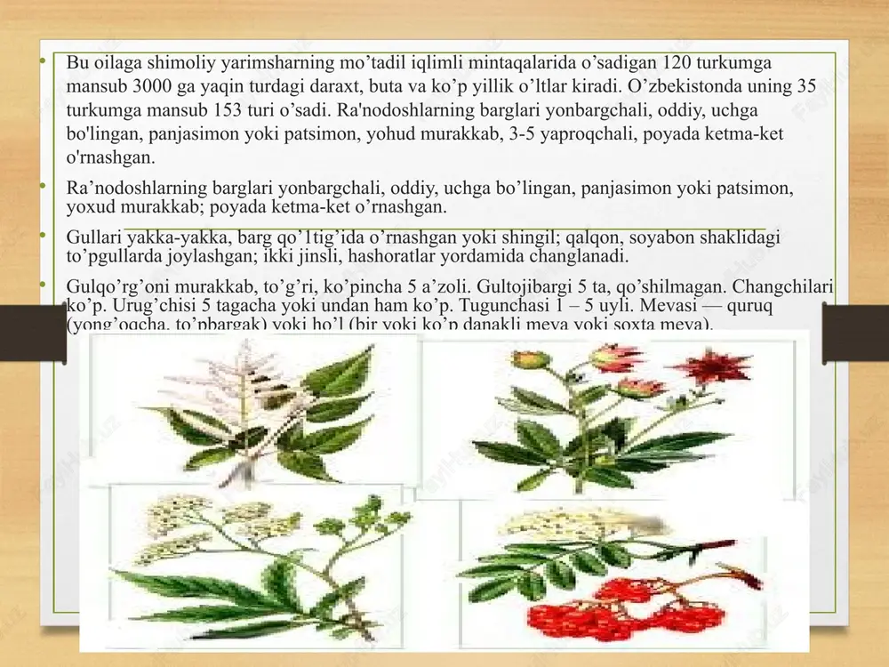 chun minerallarning asosiy manbalaridan biri hisoblanadi, bundan tashqari uning tarkibida bir talay vitaminlar, shu jumladan c va b5 vitaminlari, temir, magniy, kaliy, kaltsiy, rux, marganets, fosfor, kremniy, mis moddalari mavjud. shuningdek unda foliy, limon, olma va salitsil kislotalari bor. qulupnayning foydali xususiyatlariga quyidagilarni kiritish mumkin: u ovqat hazm qilish tizimiga yaxshi ta'sir ko’rsatadi. qulupnay tarkibida yetarli darajada minerallar bo'lgani uchun u organizmni tozalaydi, shuningdek tarkibidagi antioksidantlar tufayli organizmning qarish jarayoni sekinlashtiradi. xalq tabobatida qulupnay kamqonlik, gipertoniya, ateroskleroz, bachadondagi qon ketishlarda qo'llaniladi. avitaminozlarda qulupnayga yetadigani yo'q. shaftoli — dorivor meva (avitsenna.uz) dunyoda shaftolining yuzdan ziyod navi o‘sadi. mevasidan qayta ishlangan holda qoqi, sharbat, shira, murabbo tayyorlanadi. mevasi tarkibida asosan, suv bo‘lsa-da, boshqa moddalar ham ko‘p. jumladan, qand, pektin, saxaroza, organik kislota (limon va olma)lar, a, e, c, b1, b2, b6 singari darmondorilar, kaliy, kalsiy, natriy, fosfor kabi ma’danlarni saqlaydi. shaftoli mevasi qayt qilishni to‘xtatuvchi, taom hazmini yaxshilovchi, tanani zararli moddalardan tozalovchi …