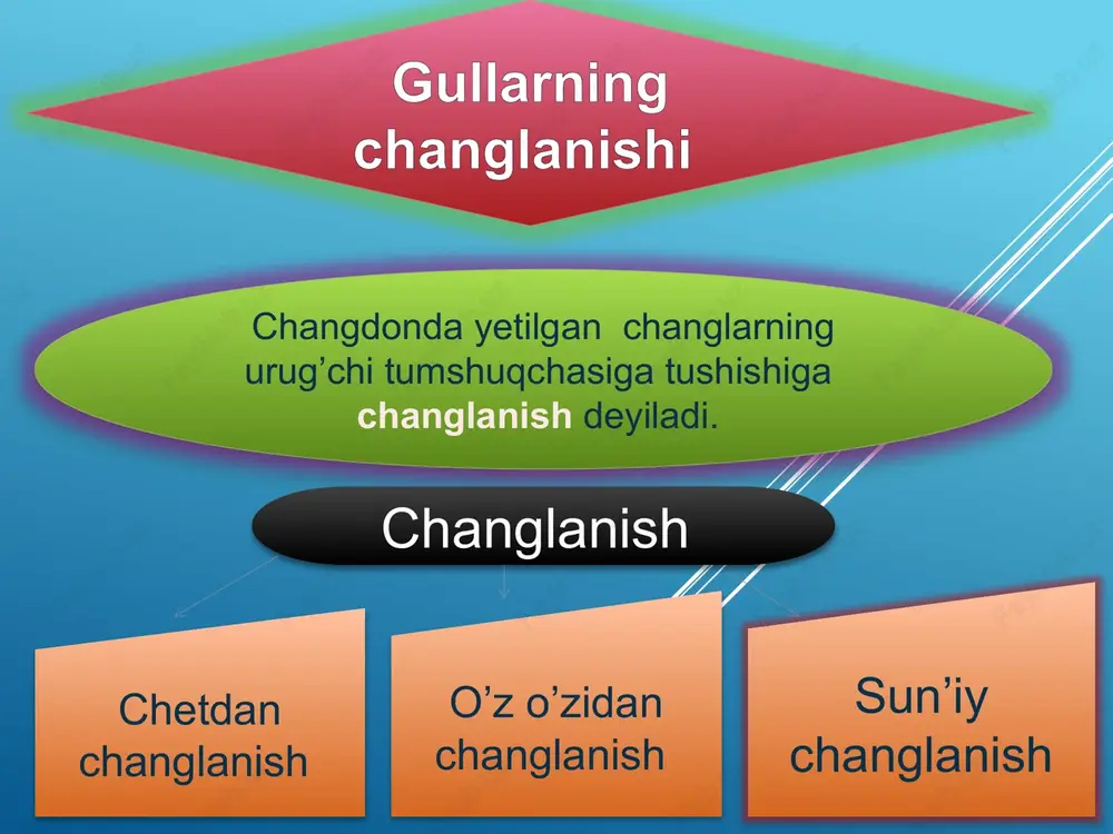 gullarning changlanishi - Page 3