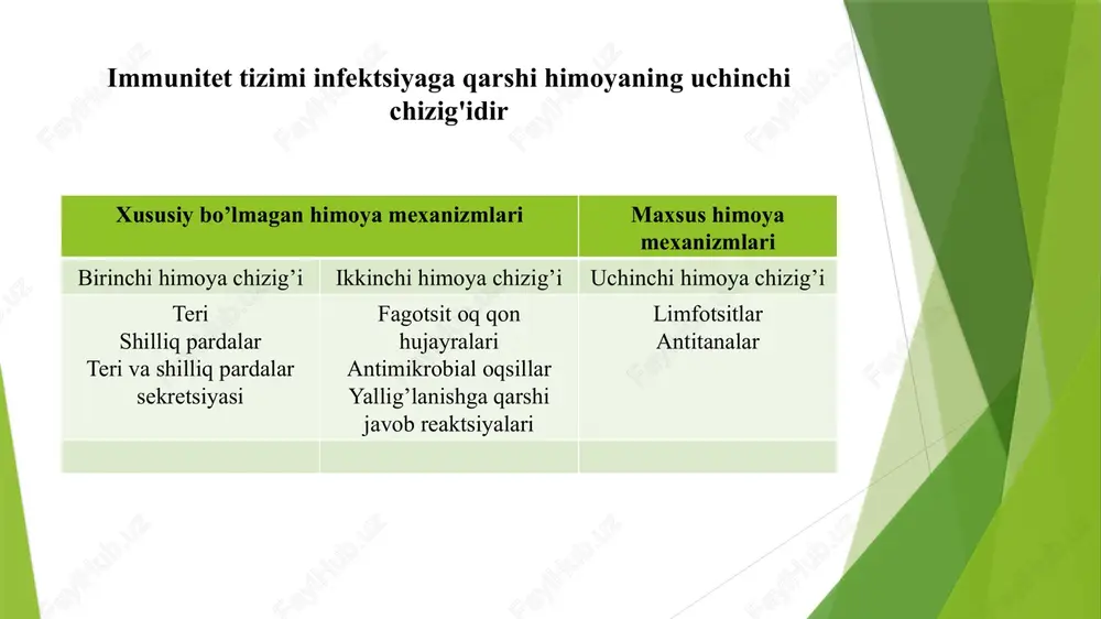 , buyrak muammosi va bo'g'imlarda og'riq paydo bo'lishi mumkin. bugungi kunda kamdan-kam uchraydi. immun tizimining ikkiligi i. gumoral (antitana vositachiligida) immunitet begona antigenlariga qarshi antitanalar ishlab chiqarishni o'z ichiga oladi. antitanalar b hujayralari deb ataladigan limfotsitlar to'plami tomonidan ishlab chiqariladi. rag'batlantirilgan b hujayralari faol ravishda antitanalarni chiqaradi va plazma hujayralari deb ataladi. antitanalar hujayradan tashqari suyuqliklarda (qon plazmasi, limfa, shilliq va boshqalar) va b hujayralari yuzasida joylashgan. tana suyuqliklarida erkin aylanib yuradigan bakteriyalar, bakterial toksinlar va viruslardan hujayralarga kirishdan oldin himoya. shuningdek, transplantatsiya qilingan to'qimalarga qarshi ma'lum reaktsiyalarni keltirib chiqaradi. antitanalar b limfotsitlari tomonidan ishlab chiqariladi antitanalar - bu o'ziga xos antigenlarni taniydigan oqsillar immun tizimining ikkiligi (davomi) ii. hujayra vositasida immunitet hujayralar, organizmlar yoki to'qimalar yuzasida begona antigenlarni taniydigan t hujayralari deb ataladigan maxsus limfotsitlar to'plamini o'z ichiga oladi: yordamchi t hujayralari sitotoksik t hujayralari t hujayralari immun tizimining boshqa hujayralarining ko'payishi va faoliyatini tartibga soladi: b hujayralari, makrofaglar, …