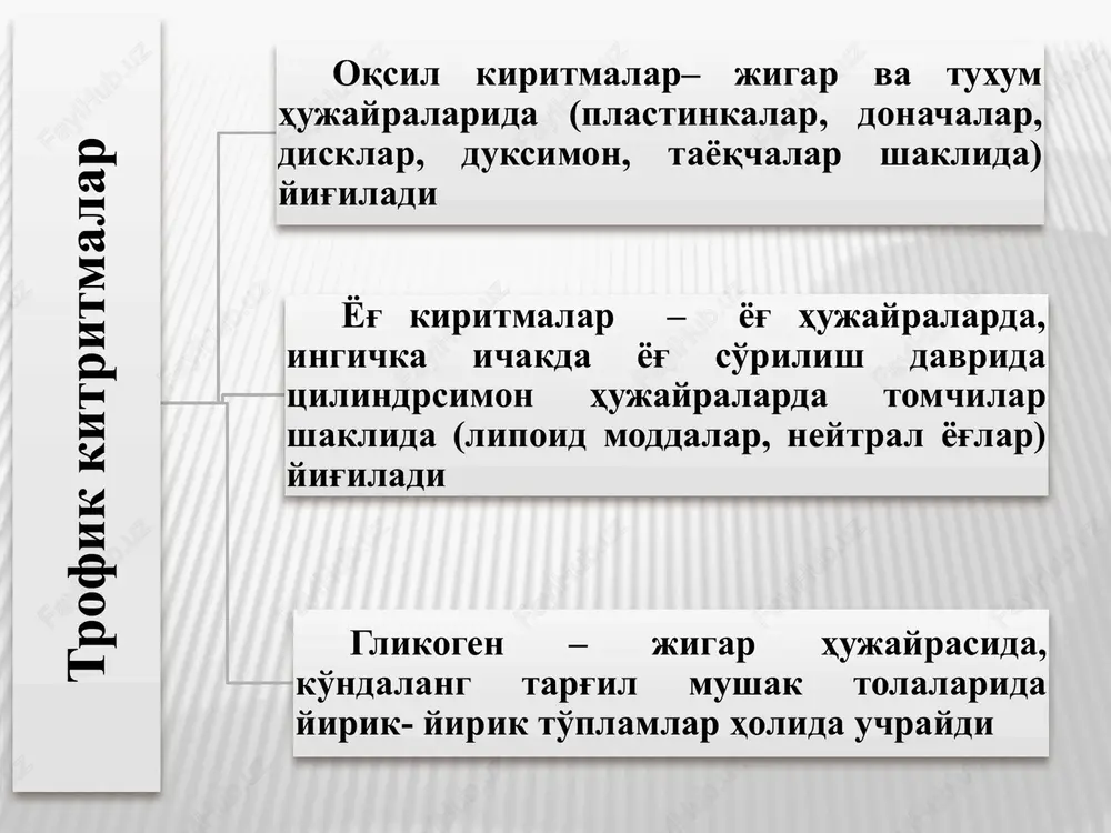 nchi tarafdan, katta molekula informatsion rnk yadrodan tsitoplazmaga o'ta oladi. tsitoplazmadan yadroga tsitoplazmada sintezlanuvchi va yadroni energiya bilan ta'minlashda kerak bo'lgan mononukleotid trifosfatning katta molekulalari o'tadi. aminokislotalar, purin va pirimidin asoslar, atf yadroga aktiv transport yo'li bilan o'tadi. ba'zan yadrodan tsitoplazma­ga yadro moddasining ajralib o'tishi mumkin degan fikr bor. o'z navbatida yadro qobig'ida botiqlar paydo bo'lib, xuddi fagotsi­toz kabi tsitoplazma moddasini qamrab oladi. yadro qobig'i endoplazmatik to'r hosil bo'lishida ishtirok etadi, degan fikr ham bor. profazada yadro qobig'i fragmentatsiyaga uchrab, donador endoplazmatik to'r bilan birlashadi. telefazada esa qobiqlar qaytadan endoplazmatik to'r elementlaridan hosil bo'ladi. xromosoma (xromatin) organizmning genetik apparati bo'lib, interfaza davrida bir-biriga chirmashgan, nozik ipchalar (xromatin) shaklida ko'rinadi. xromatin nukleoproteid kompleksi, tarkibi dnk va nukleogistonlardan iborat geteroxromatin – to'q bo'yaluvchi, o'ta spirallashib ketgan xromatin bo'lib, elektron mikroskopda anchagina zich bo'lib ko'rinadi. euxromatin – och bo'yaluvchi, elektron jihatdan zich bo'lmagan, mayda donador xromatin hisoblanadi. hujayraning funktsio­nal holatiga qarab xromosomada geteroxromatin …