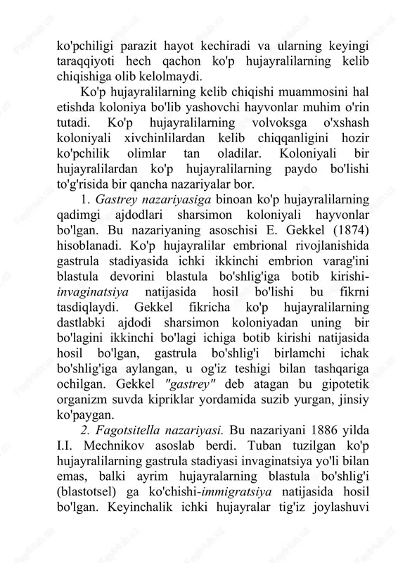 ning dastlabki ajdodi sharsimon koloniyadan uning bir bo'lagini ikkinchi bo'lagi ichiga botib kirishi natijasida hosil bo'lgan, gastrula bo'shlig'i birlamchi ichak bo'shlig'iga aylangan, u og'iz teshigi bilan tashqariga ochilgan. gekkel "gastrey" deb atagan bu gipotetik organizm suvda kipriklar yordamida suzib yurgan, jinsiy ko'paygan. 2. fagotsitella nazariyasi. bu nazariyani 1886 yilda i.i. mechnikov asoslab berdi. tuban tuzilgan ko'p hujayralilarning gastrula stadiyasi invaginatsiya yo'li bilan emas, balki ayrim hujayralarning blastula bo'shlig'i (blastotsel) ga ko'chishi-immigratsiya natijasida hosil bo'lgan. keyinchalik ichki hujayralar tig'iz joylashuvi bilan birlamchi ichak bo'shlig'i gastrotsel, keyinroq birlamchi og'iz blastopor hosil bo'lgan. mechnikov ham gekkel singari ko'p hujayrali hayvonlarni koloniyali bir hujayralilardan kelib chiqqanligini tan oladi. lekin uning ko'rsatishicha ichki qavat qutblardan biridagi hujayralarning botib kirishi bilan emas, balki hujayralarning ichki bo'shliqqa ko'chib o'tishi tufayli hosil bo'ladi. hujayralarni ichki bo'shliqqa o'tishi ularni oziqni hazm qilishga ixtisoslashuvi bilan bog'liq. shuning uchun ham i.i. mechnikov bunday hujayralarni fagotsitoblastlar, o'z nazariyasini esa, "fagotsitella "deb ataydi. …