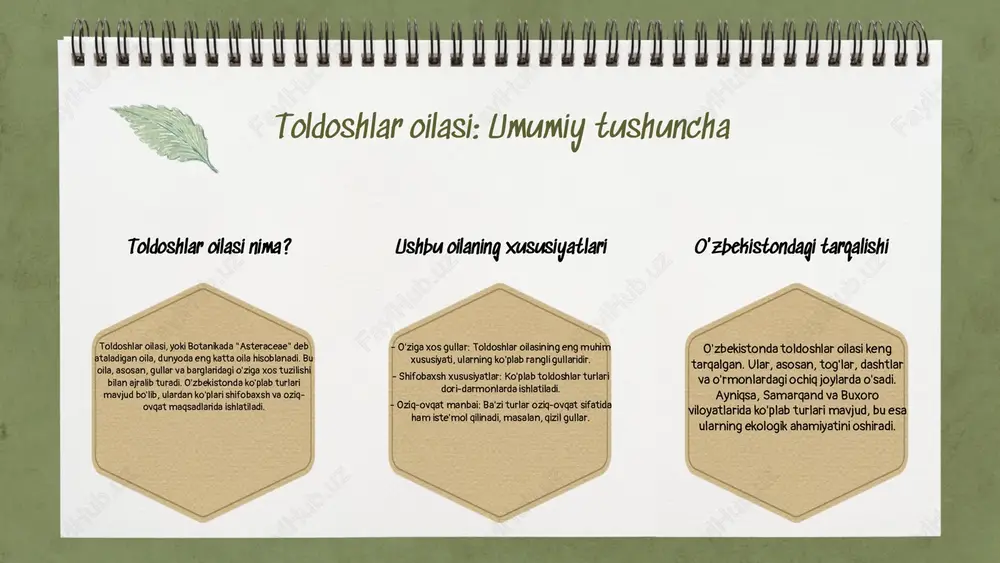 da keng tarqalgan. bu oila o'simliklar ekosistemalarda muhim rol o'ynaydi. ular havoni tozalash, tuproqni mustahkamlash va biologik xilma-xillikni saqlashda yordam beradi. toldoshlar oilasi insoniyat hayotida nafaqat estetik jihatdan, balki tibbiy va iqtisodiy ahamiyatga ega. ularning ko'plab turlari sog'liq uchun foydali moddalarni o'z ichiga oladi va turli xil sanoatlarda qo'llaniladi. morfologiya: umumiy ko'rinish toldoshlar oilasi gulining morfologik tuzilishi, asosan, uning gulida, bargida va novdasida o'ziga xos xususiyatlar bilan ajralib turadi. gul, ko'pincha rang-barang va jozibador bo'lib, pollinatsiya uchun zarur bo'lgan organlarni o'z ichiga oladi. barglar, odatda, keng va yumshoq tuzilishga ega bo'lib, fotosintez jarayonida muhim rol o'ynaydi. novdalar esa, o'simlikning o'sishini ta'minlaydi va uni tuproqqa bog'laydi, shuningdek, suv va oziq moddalarni yetkazib berishda ishtirok etadi. • toldoshlar oilasi gulining morfologik tuzilishi gullar, barglar va novdalarning o'ziga xos xususiyatlarini o'z ichiga oladi. gullar rang-barang bo'lib, ularning tuzilishi pollinatsiya jarayonida muhim ahamiyat kasb etadi. barglar fotosintez uchun zarur, novdalar esa o'simlikni qo'llab- quvvatlaydi …