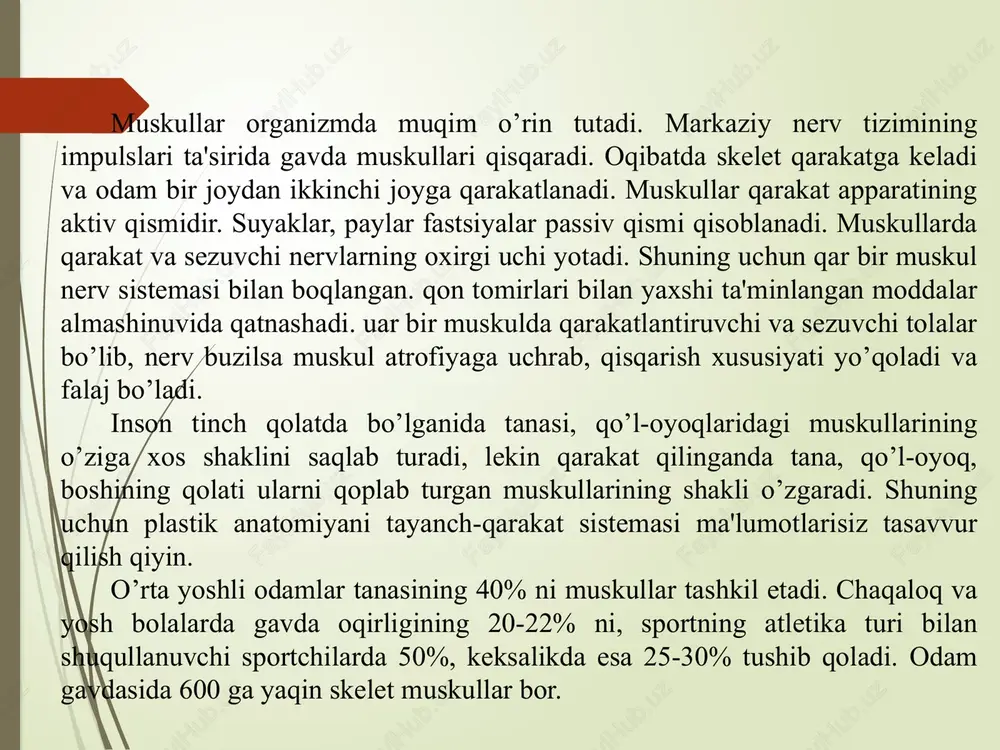 stloq qismining oldingi markaziy egatida joylashgan nerv hujayralari harakatlanish oliy nerv markazlari tomoni¬dan boshqariladi. agar bosh miya po'stlog'idagi nerv markazla¬rining ishi buzilsa, markaz boshqaradigan muskullar falaji yuzaga keladi. bunda ularning tarangligi ortadi, shol bo'lgan qo'l-oyoq tarashadek qotib qoladi. bu bosh miya shikastlanganda yob miyaga qon quyilganda yuzaga keladi. orqa miyada joylashgan nerv markazlarining ishi buzilganda, ular boshqaradigan muskullarda periferik falajlik yuzaga keladi. bunda ulaming tonusi pasayib, shol bo'lgan qo'l yoki oyoq harakatsizlanib, osilib qoladi. odam organizmida 600 dan ortiq skelet muskullari bo'lib, ular tana massasining o'rtacha 40% ini tashkil etadi. jismoniy mehnat va sport bilan shug'ullanuvchilarda muskullar yaxshi rivojlangan bo'lib, ular tan a massasining 50% ini va undan ko'prog'ini tashbl etadi. jismoniy mehnat va sport bilan shug'ullanuvchilarda muskullar yaxshi rivojlangan bo'lib, ular tan a massasining 50% ini va undan ko'prog'ini tashbl etadi. skelet muskullarining shakli xilma-xil: uzun, kalta, keng, rombsimon, trapetsiyasimon, piramidasimon, uchburchak, tish¬simon, duksimon, patsimon va yarim patsimon ikki …