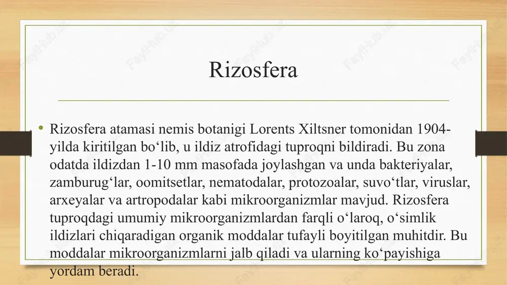 rizosfera mikroflorasi - Page 3
