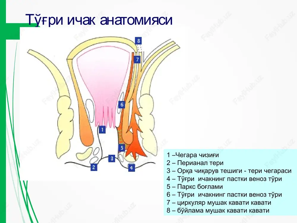 ki gemrroidal tugunlar engil shishgan va fakat proktoskop orkali kurish mumkin ikkinchi davrda tugun orka chikaruv teshigidan zurikkanda chikadi va keyin uz joyiga tushadi uchinchi davrda orka chikaruv eshigidan chikan gemrroidal tugunlar mustakil uz joyiga tushmaydi va fakat bosim ostida uz joyiga tushirish mumkin turtinchi davrda va boism ostida xam tugunlarni uz joyiga tushirish iloji yuk gemorroy davosi konservativ (vannochkalar, gemorroidal venalar tromboflebitida medikamentoz davo va skleroterapiya) xirurgik gemorroidal tugunlar skleroterapiyasi birinchi marta 1869 yilda kilingan 1 va 2 davrlarida effektiv 4 yil ichida 30% gacha retsidiv berishi mumkin gemorroidal tugunlarni rezina xalkalar bilan boglash orka chikaruv teshigidan 2 sm proksimal boglanadi to'²ri ichak shillik kavati nekrozini va chandiklanishini chakiradi va retsidiv sonini kamaytiradi 96% 1 – oy davomida simtomsiz (ogriklarsiz) gemorroy xirurgik davosi milugan morgan operatsiyasi. parks operatsiya rijix operatsiyasi milugan morgan operatsiyasi uchala gemorroidal tugunlar boglanib kesiladi parks operatsiyasi tugun ichkaridan anodermadan va tashkaridan ichki sfinkterdan ajratilib kesiladi …