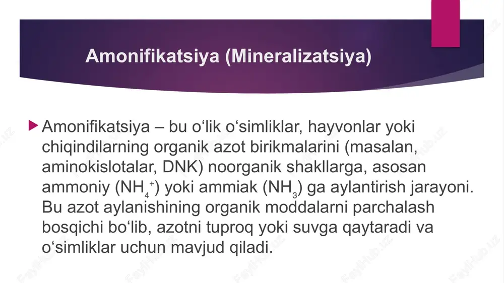 amonifikatsiya nitrifikatsiya denitrifikatsiya jarayoni - Page 3