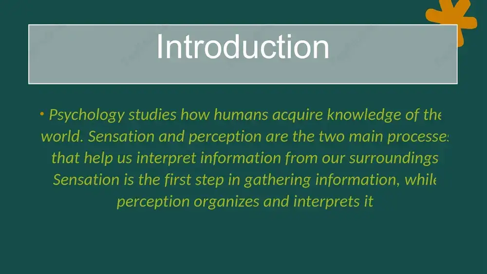 sensation and perception in psychology - Page 3