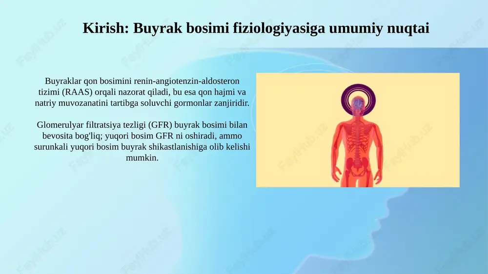 shuvi tufayli gipertoniya rivojlanadi. xulosa va kelajakdagi tadqiqotlar yo'nalishlari qon bosimini nazorat qilishda buyrak rolining molekulyar mexanizmlarini erta aniqlash va o'rganish muhimligi erta tashxis va davolashga olib kelishi mumkin. buyrak bosimini tartibga solishning genetik markerlarini va ularning gipertenziya xavfi bilan bog'liqligini aniqlash kelajakdagi gen terapiyasi uchun maqsadlar yaratishi mumkin. e'tiboringiz uchun rahmat image3.jpg image4.jpg image5.jpg image6.jpg image7.jpg image8.jpg image9.jpg image10.jpg image11.jpg image12.jpg image1.png