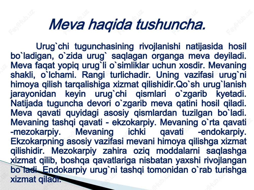 ing qo’shilishi natijasida hosil bo’lgan bitta xujayradan boshlanadi va o’simlikdagi barcha qism (organ) larning qurishi bilan tugallanadi. meva o’simliklarining individual rivojlanishi. vegetativ yo’l bilan ko’paytiriladigan o’simliklarda individual rivojlanishning boshlanishi vegetativ qismlardan yangi o’simlik hosil bo’lish vaqtiga to’g’ri kelmaydi. bu holda yangi o’simlik urug’dan o’sib chiqqan ona individning hayot siklini davom ettiradi. shuning uchun individ termini faqat boshlang’ich urug’ ko’chatga, ya’ni urug’idan o’sib chiqqan o’simliklarga taalluklidir, faqat shular barcha individual rivojlanish stadiyalarini o’tadi. mazkur ko’chatlarning ayrim qismlaridan ko’paytirilgan o’simliklar esa individ emas, balki klon individi deb ataladi. i.v.michurin meva o’simliklari urug’ ko’chatining yoshini : embrionlik, yoshlik (yuvinil). mahsuldorlik va qurish (qarish) davrlaridan iborat 4 davrga bo’lingan. embrionlik davri zigota hosil bo’lgandan boshlanadi: shundan so’ng ona (asosiy) o’simlikda urug’ rivojlanadi. bu davr urug’ unib chiqqandan keyin urug’ palla yorib chiqquncha va birinchi chinbarg paydo bo’lguncha davom etadi. bu davrda yosh organizm juda o’zgaruvchan va tashqi muhit sharoitiga moslashishga moyil bo’ladi. yoshlik davri …