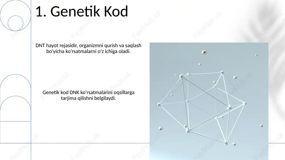 irsiyatning molekulyar asoslari - Page 3