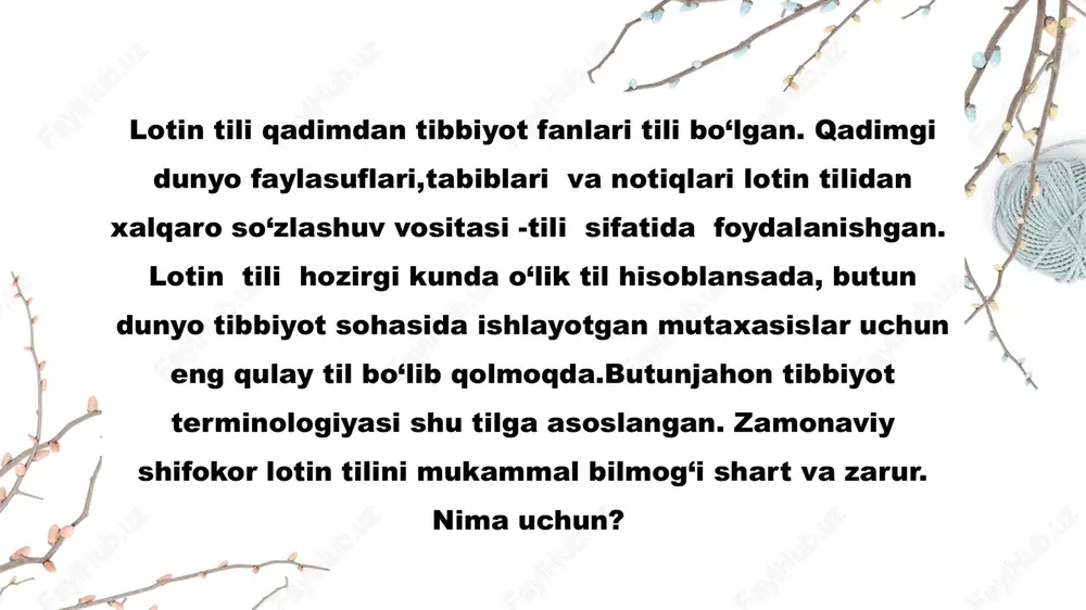 zamonaviy tillarda lotinshunoslik - Page 3