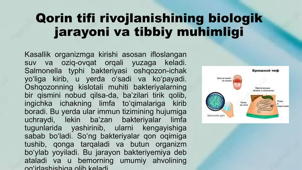 . ushbu test yordamida kasallikning faol yoki o‘tgan davri haqida ma’lumot olish mumkin. qorin tifi yoshning belgilari va umumiy sog‘liq holatiga ta'siri qorin tifi har qanday yoshdagi odamda uchrashi mumkin bo‘lsa-da, bolalar va yoshlarning organizmi bu kasallikka boshqacha ta’sir ko‘rsatadi. yoshga bog‘liq fiziologik xususiyatlar va immun tizimining holati kasallikning kechishi, belgilarining ko‘rinishi hamda sog‘liq holatiga ta’sir ko‘rsatadi. shu bois qorin tifining yoshga xos belgilarini va uning umumiy sog‘liq holatiga qanday ta’sir qilishi haqida tushuncha berish muhimdir. bolalarda qorin tifi ko‘pincha tezroq va kuchliroq kechadi. yosh bolalarning immun tizimi hali to‘liq shakllanmaganligi sababli, bakteriyalarni zararsizlantirish qobiliyati past bo‘ladi. natijada kasallikning alomatlari tez paydo bo‘ladi va ko‘pincha og‘ir kechadi. bola organizmida isitma, bosh og‘rig‘i, kuchsizlanish, ishtahaning pasayishi, ko‘ngil aynishi, qusish va diareya kabi belgilar yuzaga chiqadi. ba’zan diareya o‘rniga qattiq ich qotishi ham kuzatiladi, bu esa bolalarda organizmning suyuqlik va minerallarga bo‘lgan ehtiyojini oshiradi. suvsizlanish va umumiy zaiflik yosh bolalarda ayniqsa xavflidir, …