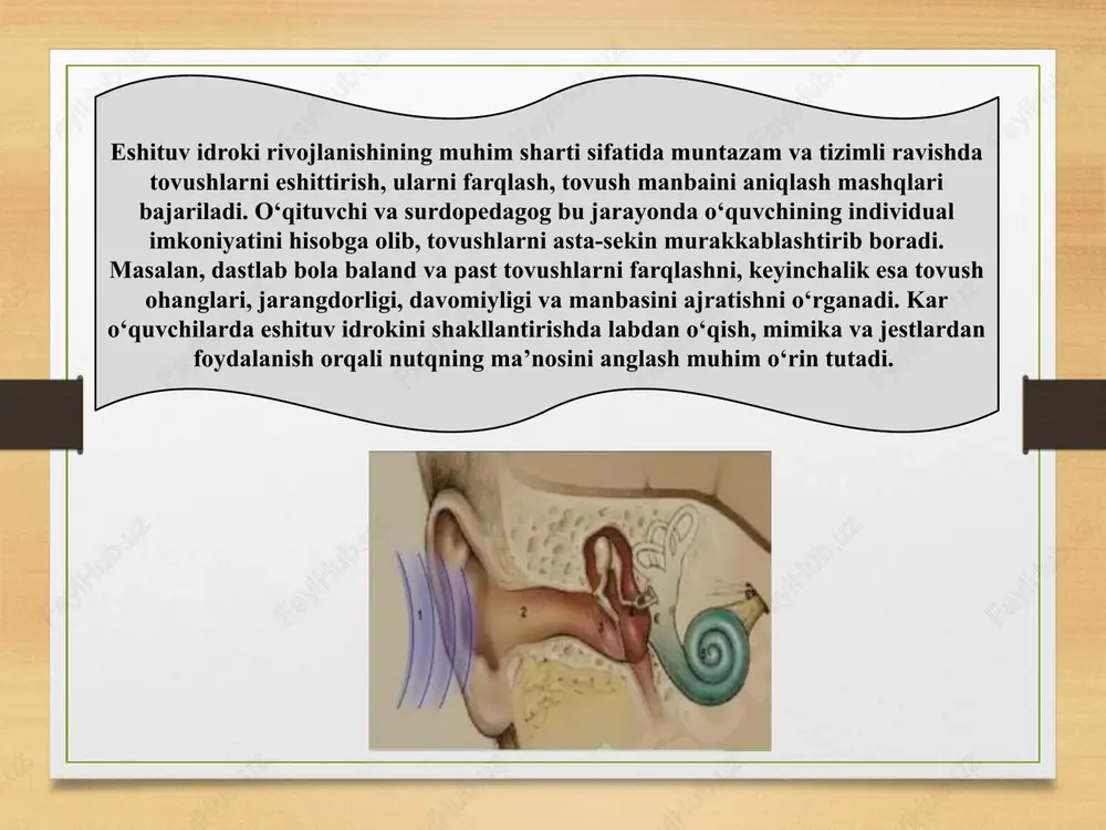 nglash imkoniyati pasaygan bo‘ladi. shu sababli, eshituv idrokini rivojlantirish ishlari maxsus pedagogik yondashuv, individual dasturlar va psixologik qo‘llab-quvvatlash asosida tashkil etilishi zarur. psixologik nuqtai nazardan, eshituv idroki inson idrok tizimining muhim tarkibiy qismi bo‘lib, u nafaqat tovushlarni qabul qilish, balki ularni farqlash, manbasini aniqlash, ularning mazmunini tushunish va eslab qolish qobiliyatini ham o‘z ichiga oladi. shu bois, kar yoki zaif eshituvchi o‘quvchilarda bu jarayonni shakllantirishda nafaqat eshitish apparatlaridan foydalanish, balki psixologik mashg‘ulotlar orqali diqqat, xotira, tafakkur va hissiy idrokni faollashtirish ham zarur hisoblanadi. pedagogik asoslar nuqtai nazaridan esa, eshituv idrokini rivojlantirish tizimli, bosqichma-bosqich va individual yondashuv asosida amalga oshiriladi. dastlab o‘quvchilar tovushlarni eshitish va farqlashga o‘rgatiladi, keyin esa ular nutq tovushlarini eshitish orqali tanish va ularning ma’nosini anglashga o‘tadilar. bu jarayonda o‘qituvchi va surdopedagoglarning roli beqiyosdir, chunki ular eshituv qobiliyatining qoldig‘ini aniqlab, o‘quvchining individual imkoniyatlariga mos mashg‘ulotlar tuzadi. mashg‘ulotlarda musiqa, ritmik mashqlar, tabiat tovushlari, shuningdek, kundalik hayotda uchraydigan tovushlarni farqlash …