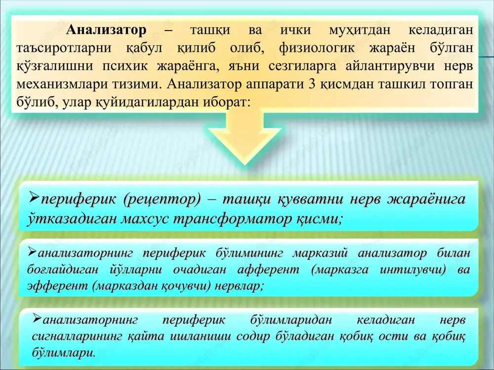 element mavjuddir, ulardan birining qo'zg'alishi qizil rang sezgisini, ikkinchi qo'zg'alishi yashil rang sezgisi va uchinchi qo'zg'alishi binafsha rang sezgisini hosil qiladi. nazariyaga ko'ra yorug'lik to'lqinlari birdaniga uchta elementni bir xilda qo'zg'atsa, oq rang sezgisi vujudga keladi. lekin yorug'lik to'lqinlari ikki yoki uch elementga ta'sir qilsa-yu, ammo bu bir tekis kechmasa, u holda sezuvchi elementlardan har birining qanchalik qo'zg'aluvchanligiga qarab, har xil rang sezgilari namoyon bo'ladi. eshitish sezgilari tovushlarni eshitishdan iborat bo'lib, musiqaviy va shovqinli tovushlarni aks ettiradi. odatda tovushlar oddiy va murakkab turlarga ajratiladi, ularning birinchisi tonli, ikkinchisi esa bir necha tondan tashkil topadi. hid bilish sezgilariga hidlarni his qilish kiradi va ularning organi burun kavagining yuqori tomoni hisoblanib, bu erda hid bilish hujayralari hamda sezuvchi nerv tarmoqlari joylashgan. ular shilliq pardalarda botib turadi. hid bilish markazi bosh miya yarim sharlari orqa yuzasining pastki qismida mavjud deb taxmin qilinadi. ta'm bilish sezgilari shirin, achchiq, nordon, sho'r singari mazalarni his qilish …