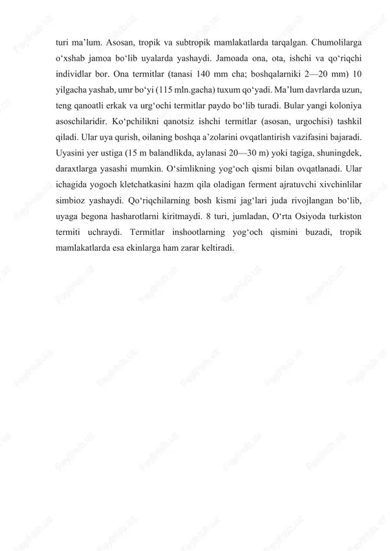 olmaydigan murakkab polisaxarid bo‘lgan tsellyulozani parchalash imkonini beradi. olingan parchalanish tuzoqqa tushgan ozuqa moddalarini tuproqqa qaytarishga yordam beradi va boshqa organizmlar uchun ozuqa moddalarining mavjudligini ta’minlaydi. bundan tashqari, termitlar murakkab er osti tunnellari va tepaliklarini qurish orqali ekotizim muhandislari sifatida ishlaydi. ushbu tuzilmalar ko‘plab boshqa organizmlar, masalan, bakteriyalar, zamburug‘lar, o‘simliklar va boshqa invertli bratlar uchun boshpana va resurslarni ta’minlaydigan mikrohabitatlarni yaratadi. bioekologiya, biologiyaning kichik sohasi, tirik organizmlar va ularning atrof-muhit o‘rtasidagi munosabatlarni o‘rganadi. u alohida organizmlar, populyatsiyalar, jamoalar va ekotizimlar o‘rtasidagi o‘zaro ta’sir va dinamikaga qaratilgan. termitlar kontekstida bioekologiya ularning biologiyasi, xulq-atvori va ekologiyasining turli jihatlarini tushunishga qaratilgan. bu termitlar yashaydigan jismoniy muhitni, masalan, ular egallagan yashash joylari, ovqatlanish odatlari va reproduktiv strategiyalarni o‘rganishni o‘z ichiga oladi. bundan tashqari, bioekologiya termitlarning o‘z ekotizimidagi boshqa organizmlar bilan qanday munosabatda bo‘lishini, masalan, ularning ichak mikroorganizmlari bilan simbiotik munosabatlarini, shuningdek termitlarning atrof-muhitga ta’sirini, shu jumladan ozuqa moddalarining aylanishi va parchalanish jarayonlaridagi rolini o‘rganadi. …