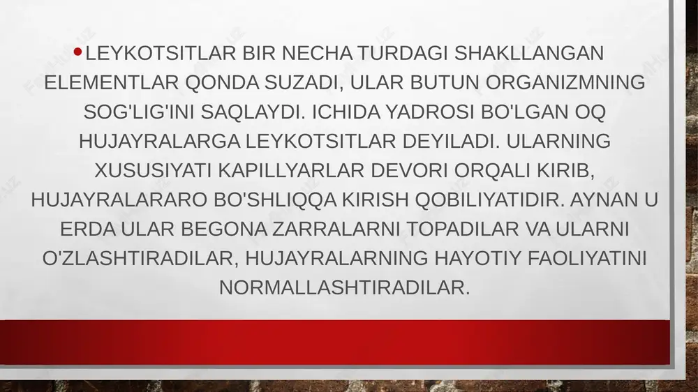 openiyaning aksi, qondagi leykotsitlar sonining ko'payishi leykotsitoz deb ataladi. ammo, leykopeniyadan farqli o'laroq, bu har doim ham patologiya emas. bunday holda, ba'zida odamda bu hujayralar sonining fiziologik o'sishi borligi aytiladi. leykopiniya odamning bunday holatlarida sodir bo'ladi: ayollarda hayz ko'rishdan oldin; ovqat miqdori yaxshi bo‘lmaganda hissiy shok davrida; homilador ayollarda. leykopiniya jarayonalri kuzatiladi leykotsitlarning har bir shaklining umri boshqacha. masalan, granulotsitlar 10 kundan so'ng o'la boshlaydi, immunitet tizimi uchun ayniqsa muhim bo'lgan limfotsitlar inson organizmida bir necha yil ishlaydi, shundan so'ng ular yangilari bilan almashtiriladi. monotsitlar eng qisqa umrga ega, bu 1-2 soat. buning sababi, ular eng oddiy vazifaga duch kelishadi. leykotsitlarning barcha shakllari taloqda yoki yallig'lanish jarayoni hududida yo'q qilinadi. leykotsitlarning joylashishi oq qon hujayralarining barcha turlari suyaklar ichida joylashgan suyak iligida ishlab chiqariladi. u embrionga o'xshash juda ko'p pishmagan hujayralarni o'z ichiga oladi. ulardan murakkab ko'p bosqichli jarayon natijasida turli xil gematopoetik hujayralar, shu jumladan barcha turdagi leykotsitlar hosil …