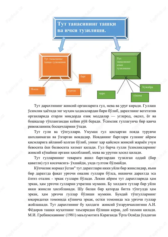 abbasi to'garak va tuxumsimon shakllarda bo'ladi. quyida tut novdasining tashqi va ichki tutilishlari bilan tanishib chihamiz. tutning novdalari tashqi ko'rinishi jihatidan turli shaklda bo'ladi. ko'pchiligi to'gri novdali bo'lib tik o'sadi. bundan tashqari novdalari egri-bugri (ilon tut), tirsaksimon (kinriu (№ 02) navi) va shox-shabbasi pastga qarab usuvchi (majnun tut) xillari ham bor (5-rasm). yosh novdaning po'sti yashil tusli bo'lib, u qisman fotosintez jarayonida ishtirok etadi. keyinchalik tutning pasti uning naviga qarab kulrangdan qizg'ish-qo'ngir, shotutniki esa to'q jigarrrang tusda bo'ladi. tut naviga qarab novdaning sirti tekis yoki g'adur-budir bo'ladi. novda po'stlog'ining sirti siyrak yoki qalin sarg'imtir tusli do'mboqchalar bilan qoplangan. bularga yasmiqcha deyiladi. ko'p yillik novdalar o'sha yasmiqchalar orqali nafas oladi. tut tanasining tashqi va ichki tuzilishi. tut tanasining tashqi tuzilishii tut tanasining ichki tuzilishii barg xujayra kurtak novda yadro to'qima tut daraxtining jinsiy organlariga gul, meva va urug' kiradi. gullash o'simlik hayotida eng muhim hodisalardan biri bo'lib, daraxtning vegetativ organlarida etarli …