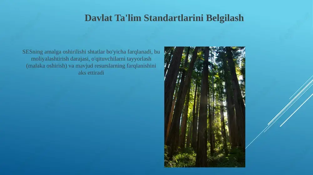v standartlari, massachusets o'quv dasturlari) tomonidan qabul qilingan davlat ta'lim standartlari milliy ramkalarni talqin qilib moslashtiradi, natijada aqsh bo'ylab farqlar yuzaga keladi xalqaro tashkilotlar ham standartlarga ta'sir qiladi (masalan, oecdning pisa baholari kanada, buyuk britaniya, yaponiya va avstraliya kabi davlatlardagi o'quvchilarning bilim darajasini solishtiradi) o'qituvchilarni tayyorlash va qo'llab-quvvatlash maqsad va vazifalar davlat ta'lim standartlari: 13 ta sinf bo'yicha har bir fan sohasida aniq o'quv maqsadlari va natijalarini belgilaydi (masalan, umumiy yadro davlat standartlari, keyingi avlod fan standartlari), 58 ta tuman bo'yicha o'quv dasturlarini ishlab chiqish, ta'lim va baholashning asosini tashkil etadi o'quv rejasining mosligi nyu-york shtati o'quv standartlari (nysls) bilan o'quv rejasining mos kelishi k-12 sinflari bo'yicha 8 ta fan uchun batafsil xaritalash jarayonini, 2,6 million o'quvchini qamrab oladi va 700 dan ortiq maktab tumanlarida o'quv materiallari tanloviga ta'sir ko'rsatadi e'tiboringiz uchun rahmat @taqdimot_robot image1.jpg image2.jpg image3.jpg image4.jpg image5.jpg image6.jpg image7.jpg image8.jpg image9.jpg image10.jpg image11.jpg image12.jpg image13.jpg image14.jpg image15.jpg image16.jpg …