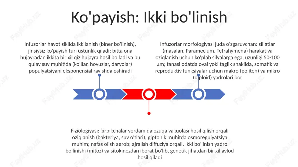 oqsimon, oʻtroq, qisqaruvchi sopi bilan birikkan; didinium nasutum – parametsiyalar kabi oʻljani ushlashga moʻljallangan xarakterli ogʻiz apparati bilan yirtqich siliat stimullarga javob kilsimonlilar xarakterli pellicula (tashqi pardasi)ga ega bo'lib, hujayra shaklini saqlaydi; sitoplazmada mikroyadro (urug'chi) va makroyadro (somatik) mavjud. o'lchamlari juda farq qiladi, 50 µm (masalan, colpidium colpoda) dan ba'zi turlarida 3 mm dan oshadi paramecium aurelia va tetrahymena thermophila kabi infuzorlar (kirpiklilar) xemotaksis (kimyoviy moddalarga reaksiya) va tigmotaxis (tegishga reaksiya)ni namoyon qiladi, stimullarga kiliya vositasida harakatlanib javob beradi; zaharli stimullarga (masalan, laboratoriya sharoitida yuqori tuz konsentratsiyasi) qarshilik reaksiyalari 1000µm/s dan yuqori tezlikda kuzatiladi. harakat va kiliarlar kiliyaning morfologiyasi 9+2 mikrotubula aksonema va daynein qo'llari bilan harakatlanuvchi mikrotubulalardan iborat. bazal tanachalar (~0.5µm) kiliyani hujayra membranasiga biriktiradi infuzorlarning harakati hujayra sig'imida taxminan 2000 ta, har biri taxminan 10µm uzunlikdagi kirpikchalar yordamida amalga oshiriladi, ularning sinxron bo'lmagan urishi muvofiqlashtirilgan harakatni ta'minlaydi. kirpikchalar faoliyati paramecium aurelia kabi shirin suv muhitida yashovchi turlarda taxminan …