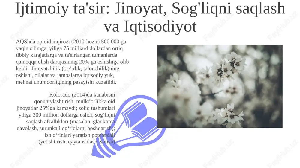 tsetmorfin)ni sintez qilishi dastlab morfindan kam giyohvandlik qiluvchi alternativ sifatida qaraldi, lekin juda giyohvandlik qiluvchi ekanligi ma'lum bo'ldi ko'hna mesopotamiya, misr, gretsiya va yaqin sharqda ming yillar davomida yetishtirilgan ko'knori (papaver somniferum) morfin, kodein va boshqa alkaloidlarni o'z ichiga olgan opium beradi e'tiboringiz uchun rahmat @taqdimot_robot image4.jpg image5.jpg image6.jpg image7.jpg image8.jpg image9.jpg image10.jpg image1.jpeg image2.jpeg image3.jpeg