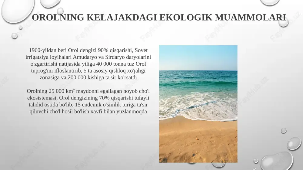 ri), sugʻorish samaradorligini oshirish (40% kamaytirish maqsadi) va oʻrmonlashtirish (15 000 ga ekilgan) ga qaratilgan 20 dan ortiq reabilitatsiya loyihalarini qoʻzgʻatdi baliq populyatsiyasiga ta'siri sovet davri paxtachiligi oqibatida pestisid va o'g'itlardan bulg'anish baliqlar sonining kamayishiga olib keldi; chuktumlardagi og'ir metallarning ifloslanishi baliqlarning ko'payishi va o'sishiga qo'shimcha ta'sir ko'rsatdi; reabilitatsiya ishlari cheklangan hududlarda suv sifatini yaxshilashga qaratilgan bo'lib, faqat mahalliy baliq populatsiyalariga ta'sir ko'rsatmoqda. 1960-yillardan beri orol dengizining qisqarishi baliq biomassasining taxminan 90% yo'qotilishiga, schizothorax intermedius va boshqa bir qancha mahalliy turlarining juda xavf ostida qolishiga va baliqchilik sanoatining qulashi natijasida qozog'iston va o'zbekistonda 60 000 dan ortiq odam ta'sirlangan. orolning mintaqaviy bioxilma-xillikdagi o'rni 1960-yillardan beri amudaryo va sirdaryoning o'zlashtirilishi tufayli orol dengizi qisqarib, suvining 90%i yo'qolgan, baliq zahiralari (40 turdan 5 tagacha kamaygan) va qushlar soni 75% ga (jumladan, orolning qoldiq ko'llaridagi dalmatsiya pelikani (pelecanus crispus) uyalari) kamaygan. orol dengizining avvalgi 68 000 km² maydonining taxminan 10%ini suvni boshqarish loyihalari …