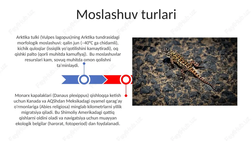 muhit va ekologik omillar - Page 3