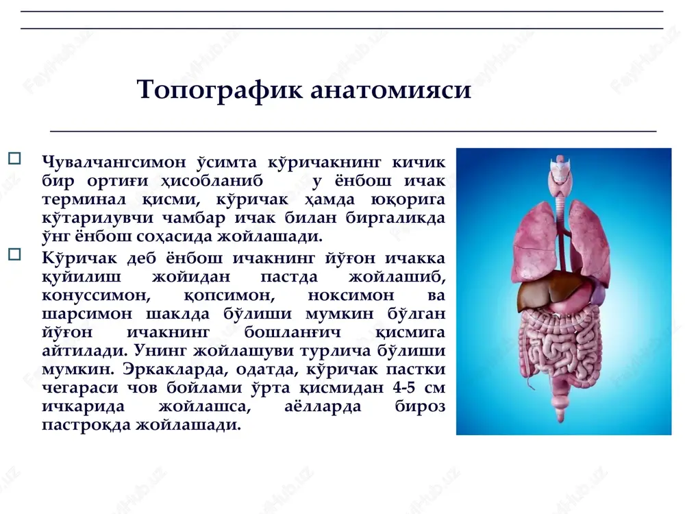 pendikulyar infiltrat; 2) appendikulyar abstsess; 3) peritonit; 4) pileflebit; 5) sepsis. klassifikatsiyasi (v.i. kolesov, 1972) patologik anatomiyasi oddiy yoki kataral appenditsit patologik anatomiyasi flegmanoz appenditsit patologik anatomiyasi gangrenoz appenditsit patologik anatomiyasi gangrenoz-perforativ appenditsit klinik manzarasi sub'ektiv belgilar: o'ng yonbosh sohasida og'riq; ko'ngil aynishi, qayt qilish; og'iz qurishi; umumiy xolsizlik; ob'ektiv belgilar: xolati passiv; teri qoplamlari oddiy; tana harorati subfebril; puls tezlashgan > 90 zarba; klinik manzarasi klinik manzarasi klinik manzarasi (simptomlari) o'tkir appenditsitning 100 dan ortiq simptomlari mavjud! asosiy simptomlari: koxer-volkovich; rovzing; sitkovskiy; bartome-mixelson; razdolskiy; shetkin–blyumberg; voskresenskiy (ko'ylak); obraztsov; ivanov. klinik manzarasi (simptomlari) koxer-volkovich simptomi – og'riqning kasallik boshlanishidan 2-5 soat o'tib o'ng yonbosh sohasiga ko'chib o'tishi klinik manzarasi (simptomlari) rovzing simptomi – chap yonbosh sohasi tebranuvchi palpatsiyasida o'ng yonbosh sohasida og'riqning kelib chiqishi klinik manzarasi (simptomlari) sitkovskiy simptomi – chalqancha yotgan xolatdan chap yonboshga burilish oqibatida o'ng yonbosh sohasidagi og'riqning kuchayishi klinik manzarasi (simptomlari) bartome-mixelson simptomi – chap yonboshiga …