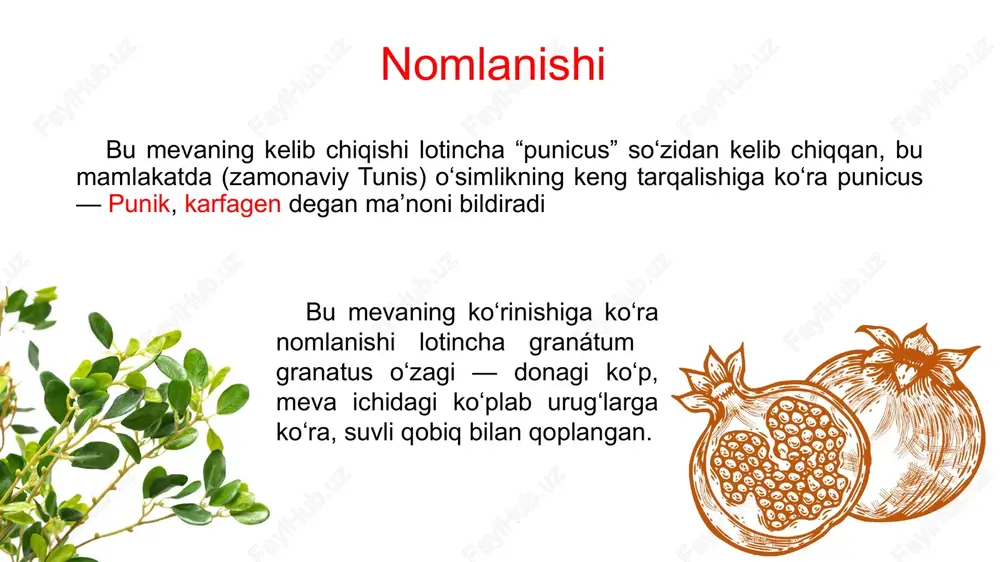 ning sharbati malina tusida tovlanib turadigan to‘q qizil rangli, mazasi nordon-shirin, juda mazali. hosildorligi – 92,0 s/ga, eng yuqori hosildorligi 150,8 s/ga ni tashkil etadi. qayerda yaratilgan: mahalliy nav. 1959-yil davlat reyestriga kiritilgan. mamlakatimizning barcha hududlarida ekish uchun tavsiya qilingan. kzil uluchshenniy navi bu navning butasi o‘rtacha, mevasi oktyabrning uchinchi o‘n kunligida pishadi. mevasi sharsimon, hajmi – 150-400 g gacha kattalikda bo‘lib, mevasining o‘rtacha vazni 210 g. sharbati olcha rangli, mazasi nordon-shirin, xushbo‘y. mevasi uzoq masofalarga yaxshi tashiladi va 3-4 oy saqlanadi. hosildorligi – 52 s/ga, eng yuqori hosildorligi 82,7 s/ga ni tashkil etadi. qayerda yaratilgan: o‘zbekiston xalqi seleksiyasi. 1981-yil davlat reyestriga kiritilgan. mamlakatimiz hududida surxondaryo viloyatida ekish uchun tavsiya qilingan. anorning foydali xususiyatlari anor o'z tarkibi va foydali xususiyatlariga ko'ra shu darajada noyobki, uni ham tibbiyotda, ham kosmetologiyada qo'llashadi. po'chog'i donalari sharbati danaklari gullari image1.jpg image2.jpg image3.jpeg image4.png image5.png image6.jpeg image7.jpeg image8.jpeg image9.jpg image10.png image11.png image12.png image13.png image14.png /docprops/thumbnail.jpeg