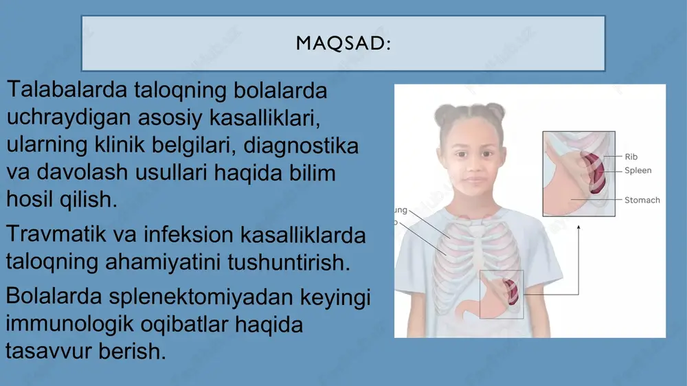 ptomatik davolash jarohatlarda: taloqni saqlab qolish usullari (tikish, qisman rezektsiya) splenektomiya – faqat hayotiy ko‘rsatmalar bo‘lganda splenektomiyadan keyin – pnevmokokk, meningokokk va gemofil infeksiyalarga qarshi vaksina 6. asoratlar va reabilitatsiya splenektomiyadan keyingi immun yetishmovchilik sepsis xavfi uzoq muddatli kuzatuv va profilaktik antibiotiklar 7. profilaktika travmalardan ehtiyot bo‘lish infeksiyalarni vaqtida davolash splenektomiya qilingan bolalarda – majburiy vaksinalar xulosa: taloq kasalliklari bolalarda nisbatan kam uchrasa ham, ularning erta tashhisi va to‘g‘ri davosi hayot uchun muhim ahamiyatga ega. travmatik shikastlanishlarda taloqni saqlab qolishga harakat qilish zarur, ammo hayotiy ko‘rsatma bo‘lsa – splenektomiya bajariladi. splenektomiya qilingan bolalar keyinchalik ayrim infeksiyalarga nisbatan sezuvchan bo‘lishi mumkin, shuning uchun profilaktik chora-tadbirlar muhim. bolalar xirurgiyasida taloq kasalliklarini bilish shifokorning amaliy faoliyatida katta ahamiyat kasb etadi ‹#› e'tiboringiz uchun rahmat! image3.png image4.png image5.png image6.png image7.png image8.png image9.png image10.png image11.png