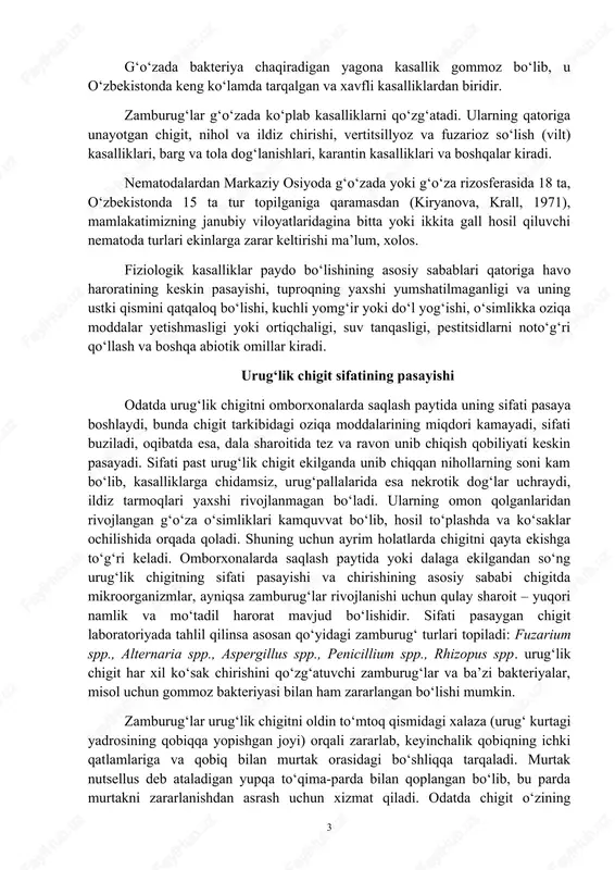 yetishmasligi yoki ortiqchaligi, suv tanqasligi, pestitsidlarni noto‘g‘ri qo‘llash va boshqa abiotik omillar kiradi. urug‘lik chigit sifatining pasayishi odatda urug‘lik chigitni omborxonalarda saqlash paytida uning sifati pasaya boshlaydi, bunda chigit tarkibidagi oziqa moddalarining miqdori kamayadi, sifati buziladi, oqibatda esa, dala sharoitida tez va ravon unib chiqish qobiliyati keskin pasayadi. sifati past urug‘lik chigit ekilganda unib chiqqan nihollarning soni kam bo‘lib, kasalliklarga chidamsiz, urug‘pallalarida esa nekrotik dog‘lar uchraydi, ildiz tarmoqlari yaxshi rivojlanmagan bo‘ladi. ularning omon qolganlaridan rivojlangan g‘o‘za o‘simliklari kamquvvat bo‘lib, hosil to‘plashda va ko‘saklar ochilishida orqada qoladi. shuning uchun ayrim holatlarda chigitni qayta ekishga to‘g‘ri keladi. omborxonalarda saqlash paytida yoki dalaga ekilgandan so‘ng urug‘lik chigitning sifati pasayishi va chirishining asosiy sababi chigitda mikroorganizmlar, ayniqsa zamburug‘lar rivojlanishi uchun qulay sharoit – yuqori namlik va mo‘tadil harorat mavjud bo‘lishidir. sifati pasaygan chigit laboratoriyada tahlil qilinsa asosan qo‘yidagi zamburug‘ turlari topiladi: fuzarium spp., alternaria spp., aspergillus spp., penicillium spp., rhizopus spp. urug‘lik chigit har …