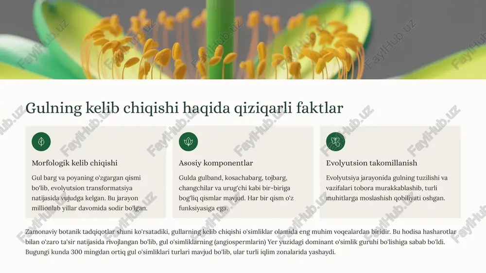 h uchun tarqaladi ayol reproduktiv organ urug'chi urug'chi makrosporalar hosil qiluvchi urug'kurtak ishlab chiqaruvchi ayol jinsiy organdir. urug'chi gulning markazida joylashgan bo'lib, changchilar uni atrofida joylashshgan. urug'chi urug'kurtak, uslub va tugunchadan iborat. tugunchada urug'kurtak mavjud bo'lib, unda tuxum hujayra rivojlanadi. tugunch — urug'kurtakni saqlaydigan kengaygan qism uslub — tugunch va tumshuqchani bog'lovchi ip tumshuqcha — chang donalarini qabul qiluvchi yuza urug'kurtak — ichida tuxum hujayra mavjud 5 gulning tuzilishi diagrammasi kosachabarg gulning eng tashqi qavati bo'lib, himoya funksiyasini bajaradi. yashil rangda bo'lib, gul kurtakni o'rab turadi. gultoj rang-barang barglardan iborat bo'lib, hasharotlarni jalb qilish uchun yorqin rangga ega. tojbarg alohida yoki birikkan gulbarglar majmuasi bo'lib, gul tuzilmasining ko'zga ko'ringan qismi. changchi erkak jinsiy organ bo'lib, chang donalarini ishlab chiqaradi va tarqatadi. urug'chi ayol jinsiy organ bo'lib, urug'kurtak va tuxum hujayralarini o'z ichiga oladi. gulning barcha qismlari birgalikda muvofiq ishlaydi va bir-birini to'ldiradi. himoya qatlamidan boshlab, vizual jalb qiluvchi elementlar va …