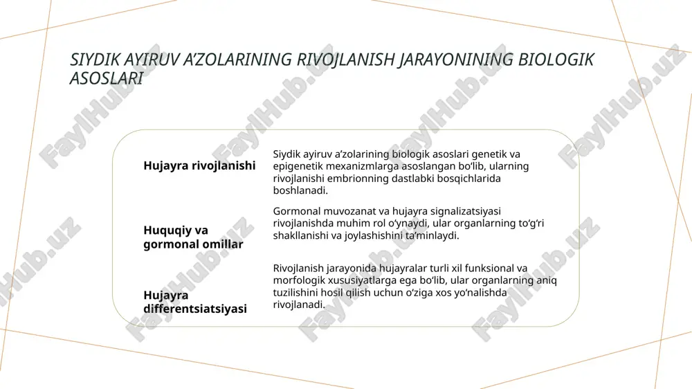 yiruv a’zolarining rivojlanish nuqsonlari: klinik va diagnostik aspektlar'. o‘zbekiston respublikasi pediatriya ilmiy jurnali, 2022, 15(2), 67-74. e'tiboringiz uchun rahmat!