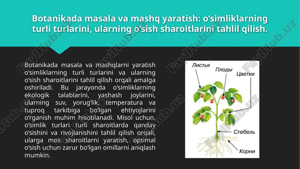 urug‘lar esa o‘simliklarning ko‘payishida muhim ahamiyatga ega, chunki ular yangi o‘simliklarni rivojlantiradi. bunday masalalar va savollar o‘quvchilarga o‘simliklarning tuzilishini va ularning biologik jarayonlarini yaxshiroq tushunishga yordam beradi. masalan, "fotosintez jarayonida asosiy rol o‘ynaydigan o‘simlik qismi nima?" yoki "o‘simlikning suv va oziq moddalarni tuproqdan olish organi qanday ataladi?" kabi savollarni tuzish orqali bilimlarni mustahkamlash mumkin. rebuslar tuzish: o‘simliklar va tabiat bilan bog‘liq ramzlarni yaratish, ularni tushunish va echish. rebuslar tuzishda o‘simliklar va tabiat bilan bog‘liq ramzlar va tasvirlardan foydalanish o‘quvchilarga tabiatni yaxshiroq tushunishga va tasavvurini kengaytirishga yordam beradi. quyida o‘simliklar va tabiatga oid rebuslar matn shaklida keltirilgan: rebus: quyosh + yaproq javob: fotosintez (quyosh + yaproq) rebus: daraxt + yaproq javob: yoshil daraxt (yaprog‘ining tushishi) rebus: qush + yaproq javob: o‘simliklar va qushlar bilan bog‘liq ekosistema rebus: meva + o‘simlik javob: meva va o‘simliklar rebus: yomg‘ir + gullar javob: yomg‘ir va gullar (o‘simliklarning o‘sishi uchun zarur omillar) rebus: tuproq + daraxt …