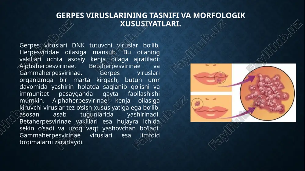 kasi. parenteral virusli gepatitlar ichiga gepatit b virusi (hbv), gepatit d virusi (hdv) va gepatit s deb ataladigan gepatit c virusi (hcv) kiradi. bu viruslar asosan qon orqali, tibbiy asboblar, infeksiyalangan ignalar, qon quyish, shuningdek, onadan bolaga va jinsiy aloqa orqali yuqadi. ular jigar hujayralarini zararlab, o‘tkir va surunkali gepatit, jigar sirrozi va jigar o‘smasi kabi og‘ir asoratlarni keltirib chiqarishi mumkin. gepatit b virusi ikki qavatli dnk virusi bo‘lib, jigar hujayralarini zararlaydi va hujayra yadrosiga kirib, ko‘payishni boshlaydi. gepatit d virusi mustaqil ko‘payolmaydi, u faqat hbv infeksiyasi mavjud bo‘lganda faollashadi va qo‘shma infeksiya shaklida kechadi. gepatit c virusi esa bir ipli rnk virusi bo‘lib, surunkali infeksiya chaqirish xususiyati kuchli, va ko‘pincha jigar sirrozi va jigar o‘smasiga olib keladi. parenteral gepatitlarning laboratoriya diagnostikasi serologik va molekulyar usullar yordamida olib boriladi. gepatit b virusini aniqlash uchun hbsag (gepatit b sirt antigeni), anti-hbc (hbv yadrosi antitelalari) va hbv dnk testi qo‘llaniladi. gepatit d …