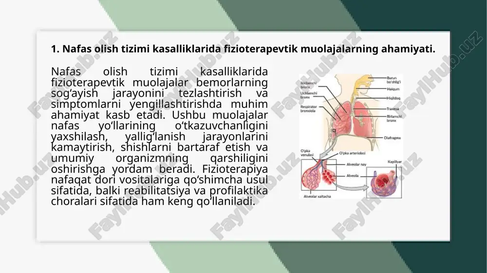i mustahkamlash va balg‘amni ajralishini rag‘batlantirishga ko‘maklashadi. nafas gimnastikasi esa o‘pka hajmini oshirish va nafas olish samaradorligini yaxshilashga xizmat qiladi. etiboringiz uchun rahmat! image1.png image2.jpeg image3.jpeg image4.jpeg image5.jpeg image6.jpeg image7.jpeg